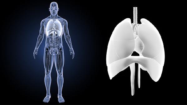 是药三分毒 白叟用药须留意4点